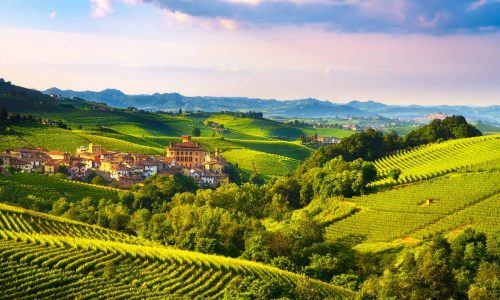Piedmont-Barolo & Vineyards-min