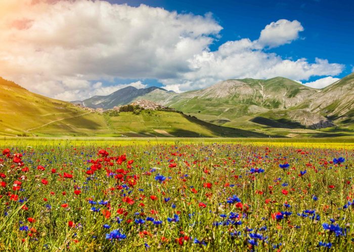 Umbria-Landscape-XXL-min